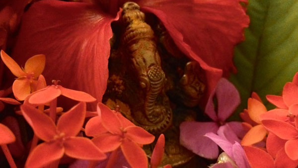 సంకష్ట హర చతుర్థి రోజున గరిక పూజ
