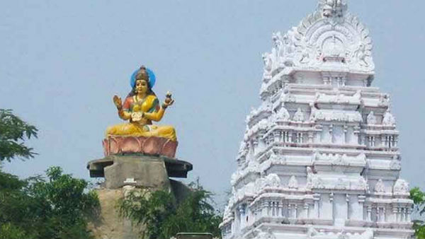 devotees find python in basara saraswati temple devotees find python in basara saraswati temple