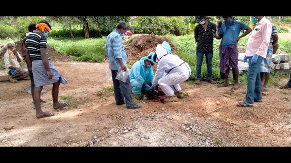 వందల గొర్రెల యజమాని