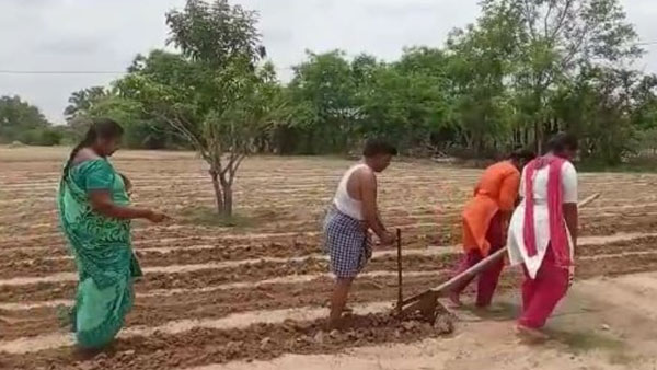 లాక్ డౌన్ కారణంగా ఉపాధికోల్పోయి..