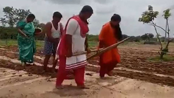 వైరల్ వీడియో..