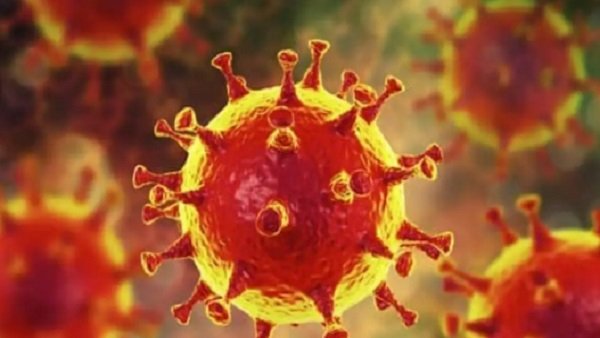 లక్షల్లో కేసులు పెరిగే ఛాన్స్