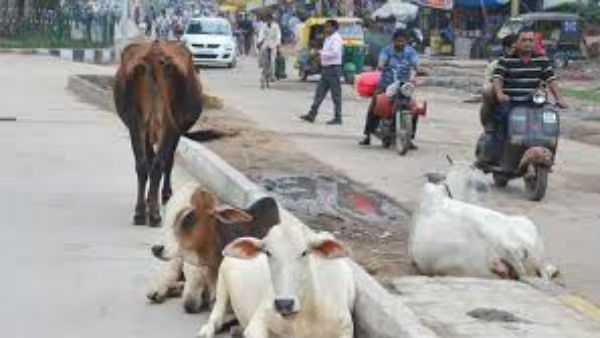 పోలీసులు ఏం చేశారో చూడండి