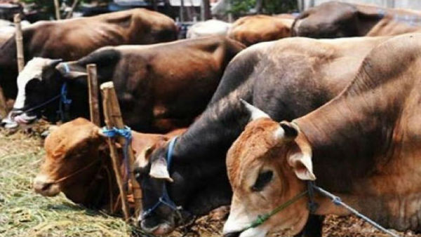 వీడియో ఉన్నా పోలీసుల వింతవాదన