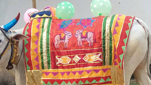 ఆడపిల్ల సంతానంగా కావాలంటే ఏం చేయాలి