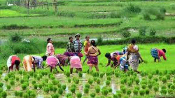 రైతుల కోసం జాయింట్ టాస్క్ ఫోర్స్ కమిటీ ఏర్పాటు