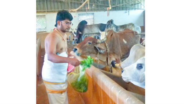 సకల పాపాలు తొలగిపోవాలంటే....