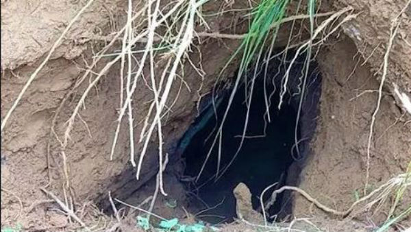 ప్లాస్టిక్ బ్యాగ్స్తో మూసి...