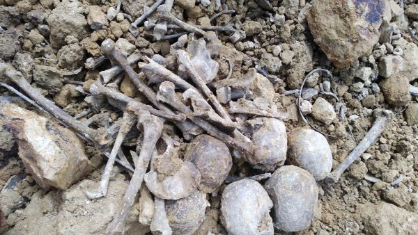 12 human skulls, bones, ornaments found in landslide debris 12 human skulls, bones, ornaments found in landslide debris