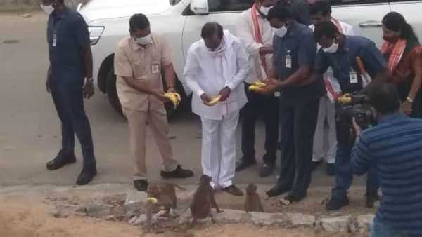కోతులను గమనించి..