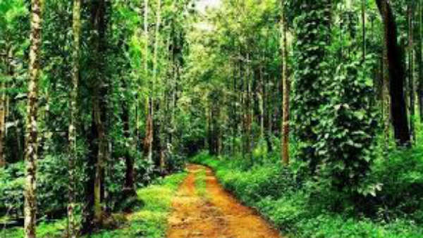 చివరికీ ఫోన్ కలవడంతో..