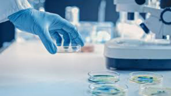 Serum Institute of India starts manufacturing Codagenix vaccine for COVID-19 Serum Institute of India starts manufacturing Codagenix vaccine for COVID-19