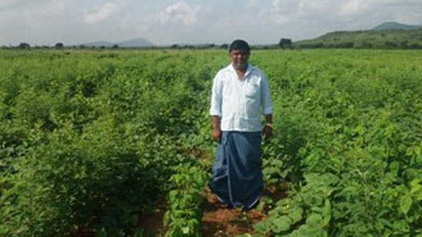 హడావిడి నిర్ణయం-కరవైన అధ్యయనం...