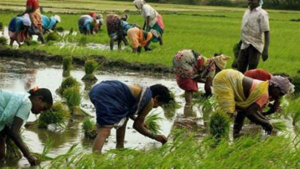 వ్యవసాయ బిల్లుల మంట...
