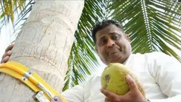 చెట్టు ఎక్కే యంత్రాన్ని పరీక్షించిన మంత్రి