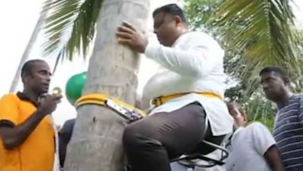 ప్రపంచ వ్యాప్తంగా కొబ్బరికి డిమాండ్ ఉందన్న ఫెర్నాండో