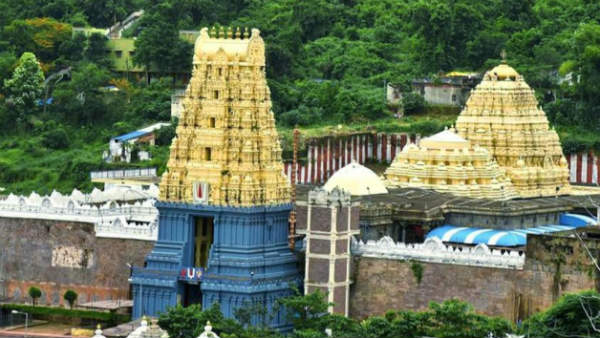 సింహాచలం బోర్డు రాజకీయాలు..