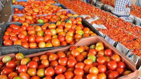 tomato lorry overturns in chittoor.. tomato lorry overturns in chittoor..
