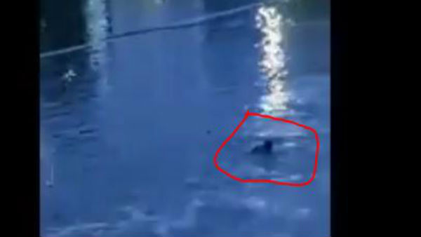 Hyderabad floods: missing mans dead body found in Saroornagar lake. Hyderabad floods: missing mans dead body found in Saroornagar lake.