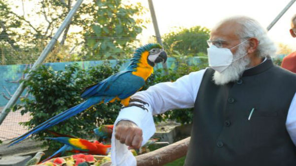 ఆరోగ్యవనంలో ప్రధాని నరేంద్ర మోడీ: పక్షులతో ఇలా, అభివృద్ధి కార్యక్రమాలు ప్రారంభం