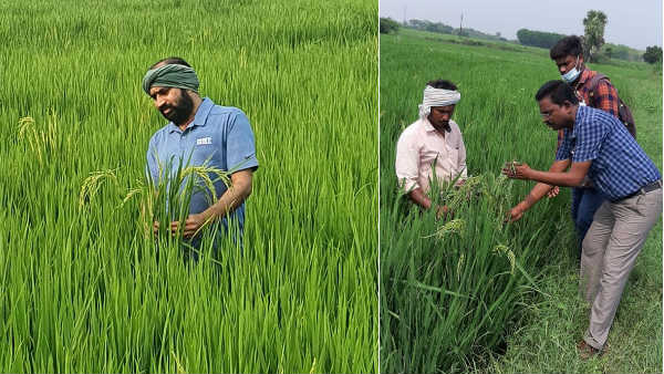 సీఎం జగన్ దృష్టికి..
