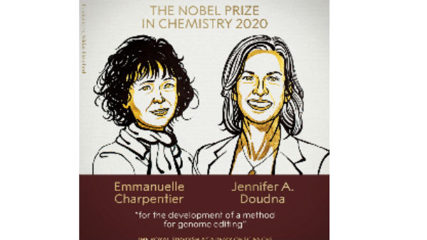 genome editing method development won nobel chemistry prize for 2020 genome editing method development won nobel chemistry prize for 2020