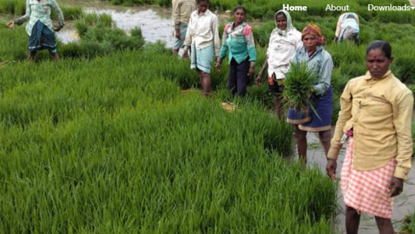 మున్సిపల్ కార్పోరేషన్ ప్రాంతాల్లో సగం కూడా పూర్తి కాని ఆస్తుల నమోదు
