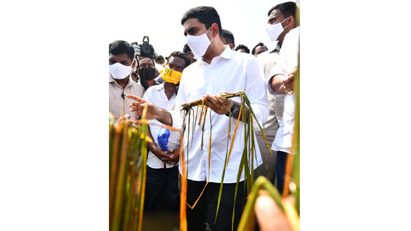తనను హేళన చెయ్యటంపై ఉన్న శ్రద్ధ రైతులపై ఏదీ ? లోకేష్ ప్రశ్న