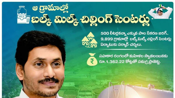 అమూల్ ప్రాజెక్టు రెడీ...