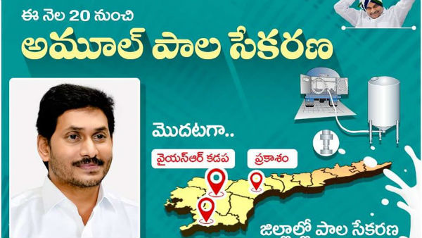 మూడు జిల్లాల్లో అడుగుపెడుతున్న అమూల్
