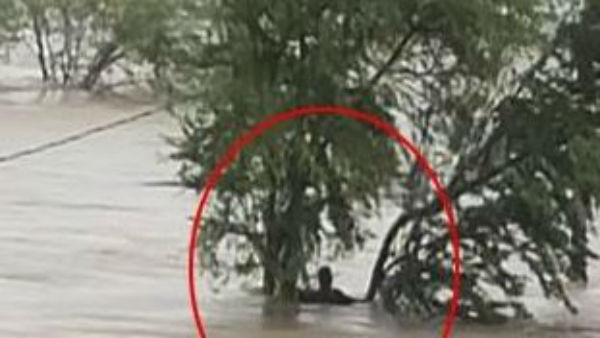 three farmers stranded in as rivulet overflows in chittoor district three farmers stranded in as rivulet overflows in chittoor district