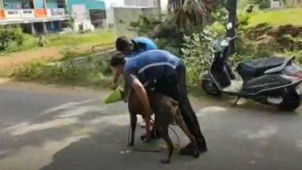 అర్దనగ్నంగా...... గొంతు కోసి దారుణ హత్య