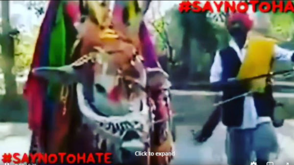 గంగిరెద్దుతో పోల్చుటూ టీఆర్ఎస్ అభ్యర్థిని ట్రోల్ చేశారు.. కానీ,