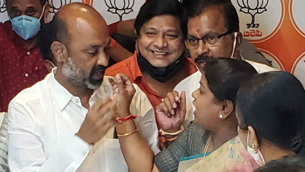 ఎస్ఈసీ, డీజీపీపై విమర్శలు