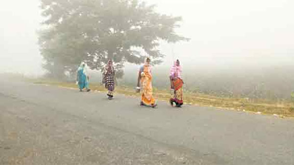 కోహిర్లో 3.4 డిగ్రీలు