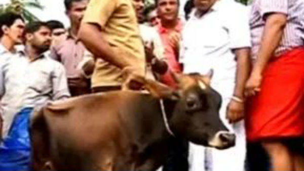 గోరక్షా మార్చ్, తిరంగా యాత్రలతో..