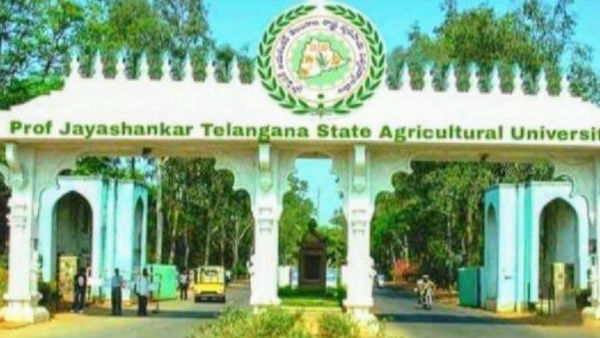 ఏలూరు వింతవ్యాధి అసలు కారణమిదే..