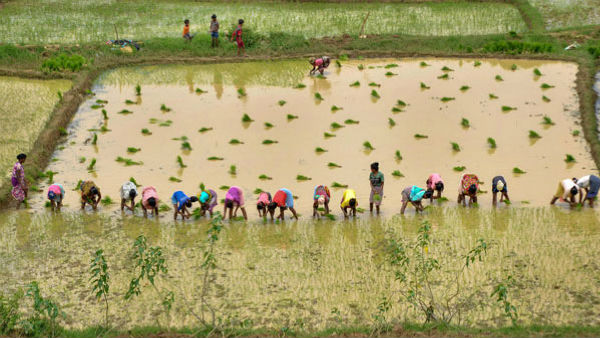 Let industries buy land directly from farmers, Smriti Irani-led GoM suggests to states Let industries buy land directly from farmers, Smriti Irani-led GoM suggests to states