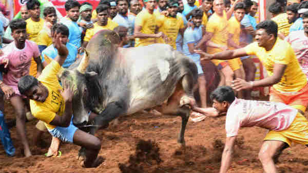 ప్రేక్షకులపై కూడా ఆంక్షలు..