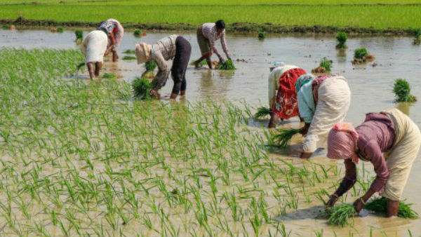 PM Modi will release next instalment of financial benefit under PM Kisan Samman Nidhi PM Modi will release next instalment of financial benefit under PM Kisan Samman Nidhi