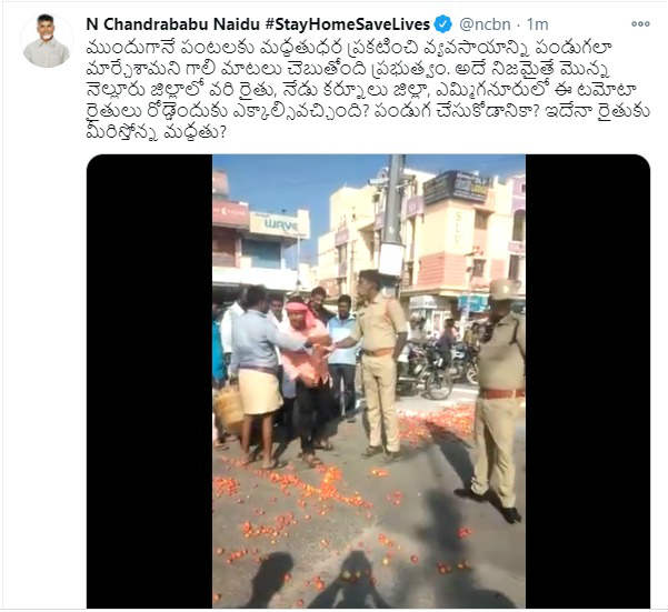 govt supports farmers, why they come on roads, tdp chief naidu questions jagan govt supports farmers, why they come on roads, tdp chief naidu questions jagan