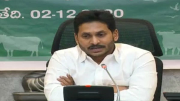  పాడిరైతులకు మేలు, మహిళలకు బోనస్