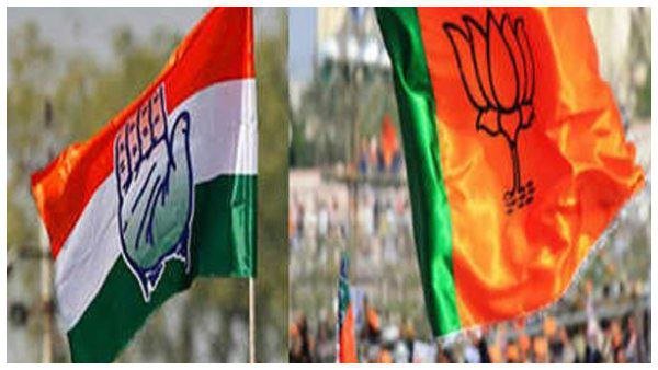 Rajasthan Urban Local Body Polls Results: Congress Wins 1,197 Wards, BJP 1,140 Rajasthan Urban Local Body Polls Results: Congress Wins 1,197 Wards, BJP 1,140