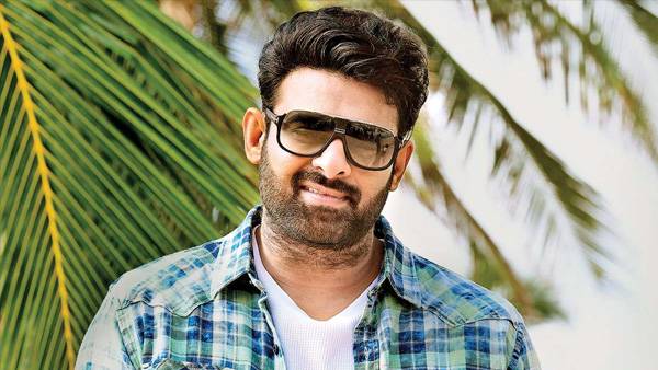 బెల్లం ఉంటే ఈగలకు కరువా !