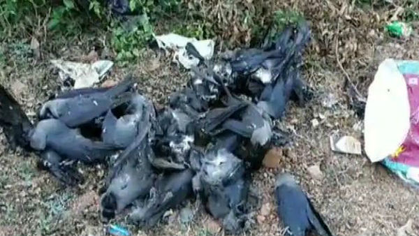 పక్షులపై నిఘా పెంచండి..