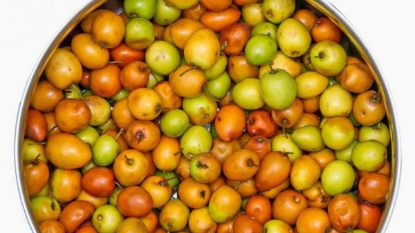 రేగుపళ్లలో సి విటమిన్