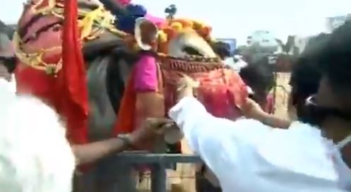 viral video of cm jagan saves a bull from getting hurt viral video of cm jagan saves a bull from getting hurt