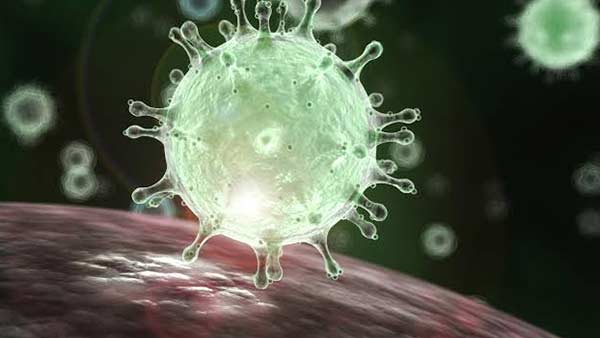 new corona virus strain: China reports the first case, found in Shanghai new corona virus strain: China reports the first case, found in Shanghai