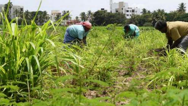 రాజకీయాలతో సంబంధం లేని అంశం..
