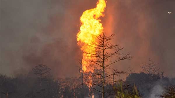 2 killed in fire at scrap godown in Delhi 2 killed in fire at scrap godown in Delhi